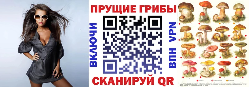 мега ONION  Хвалынск  Галлюциногенные грибы Cubensis 